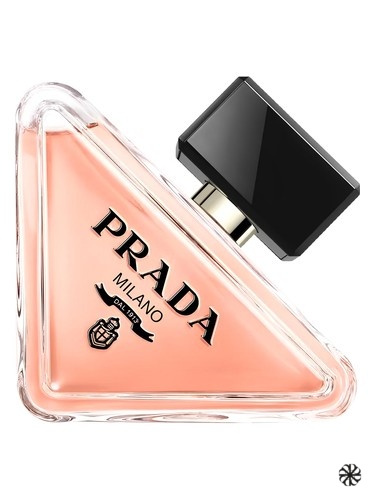 Prada Paradoxe Prada
