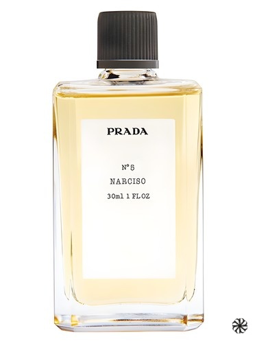 No5 Narciso Prada