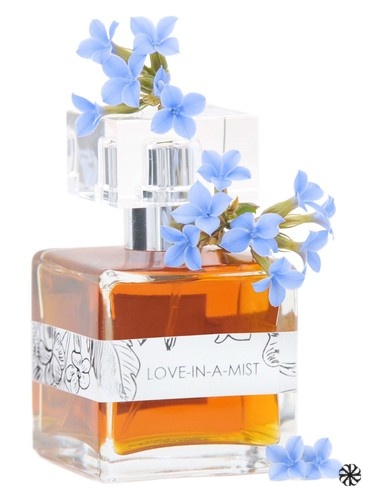 Love-In-A-Mist Providence Perfume Co.