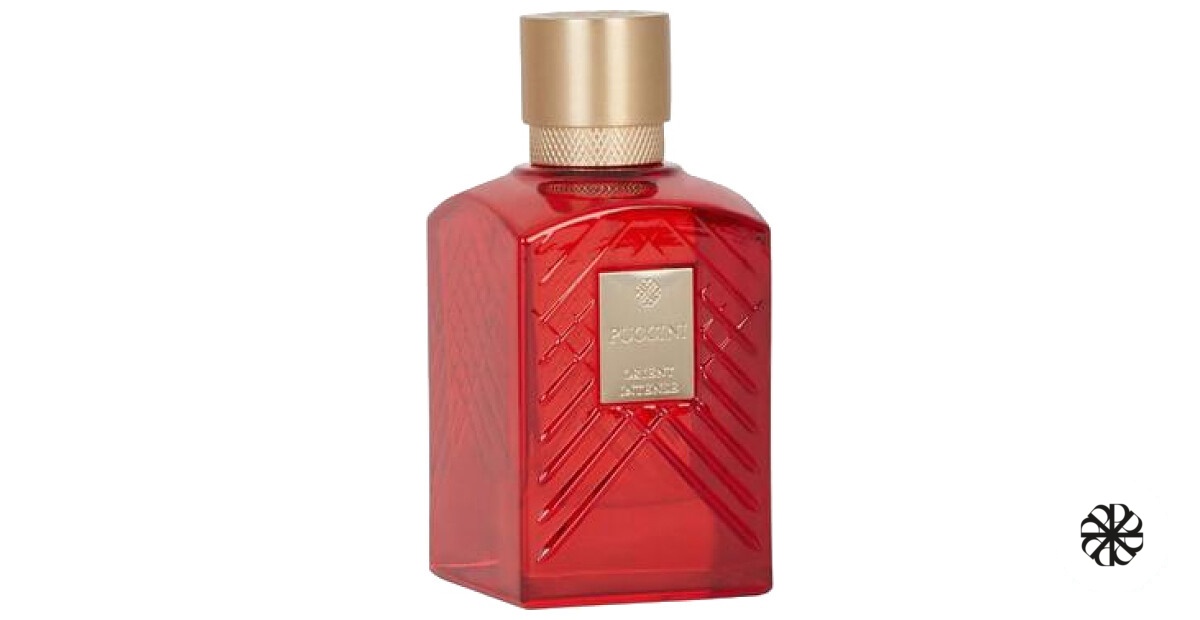 Orient Intense Puccini Paris