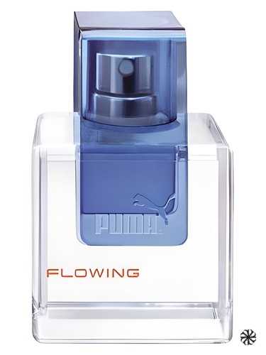 Flowing Man Puma