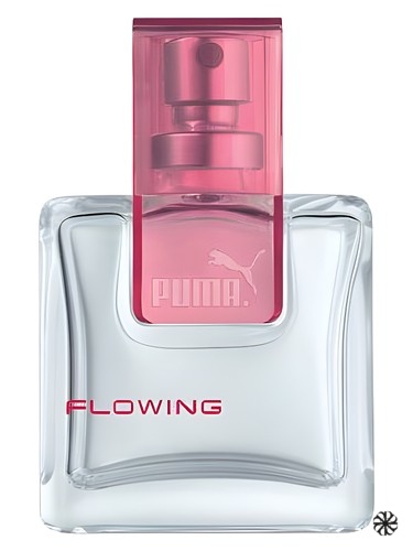 Flowing Puma