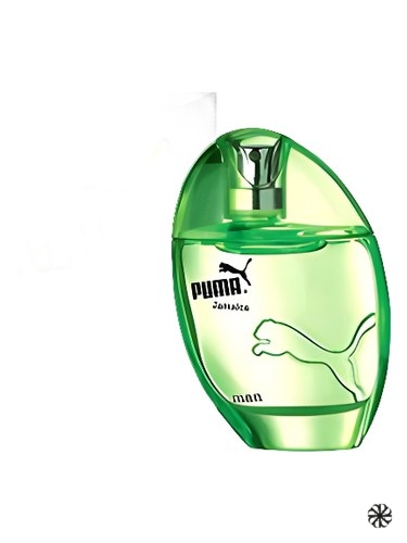 Jamaica Man Puma