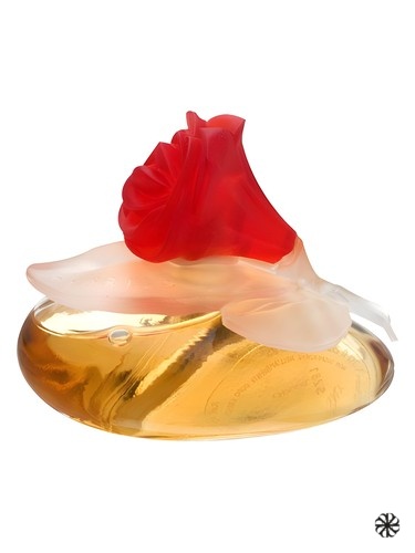 Fiorilu En Fleur Pupa