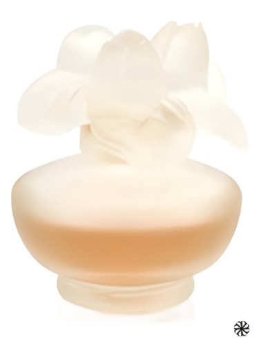 Rose Nuage Pupa