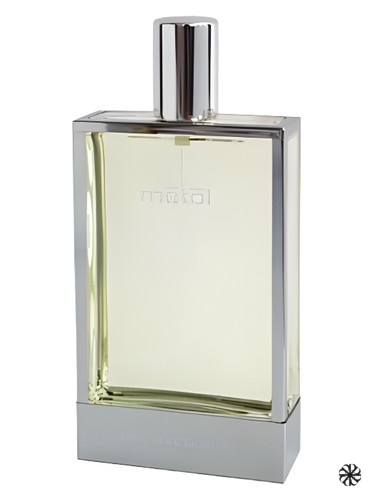 Metal Rabanne
