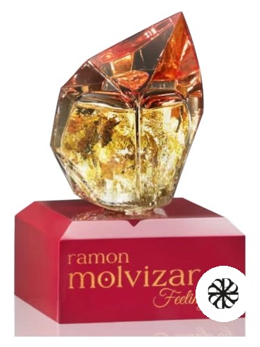 Feelings Ramon Molvizar