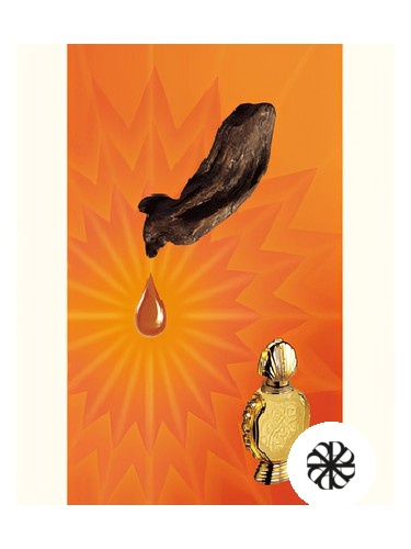 Shatha Al Oudh Rasasi