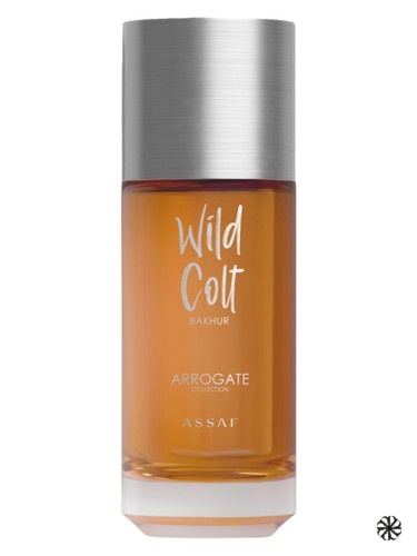Wild Colt Bakhur Assaf