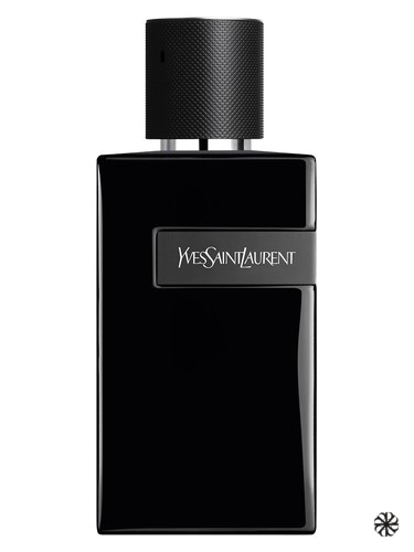 Y Le Parfum Yves Saint Laurent