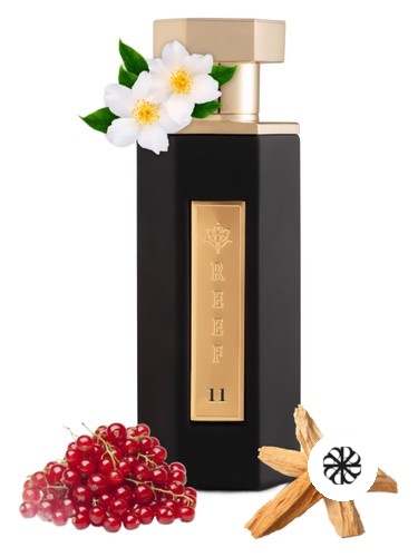Reef 11 Reef Perfumes