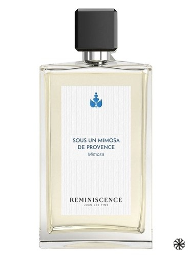 Sous un Mimosa de Provence Reminiscence
