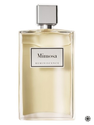 Mimosa Reminiscence