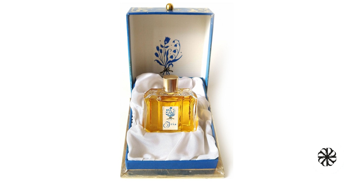 Modry Iris Astrid