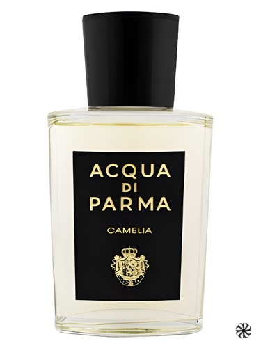 Camelia Eau de Parfum Acqua di Parma