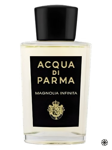 Magnolia Infinita Acqua di Parma