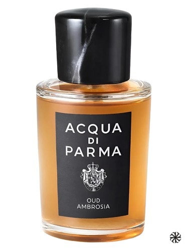 Oud Ambrosia Acqua di Parma