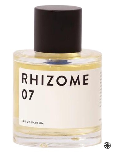 Rhizome 07 Rhizome