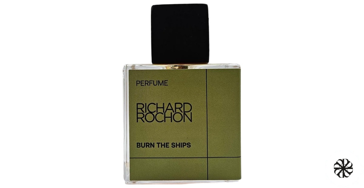 Burn the Ships Richard Rochon