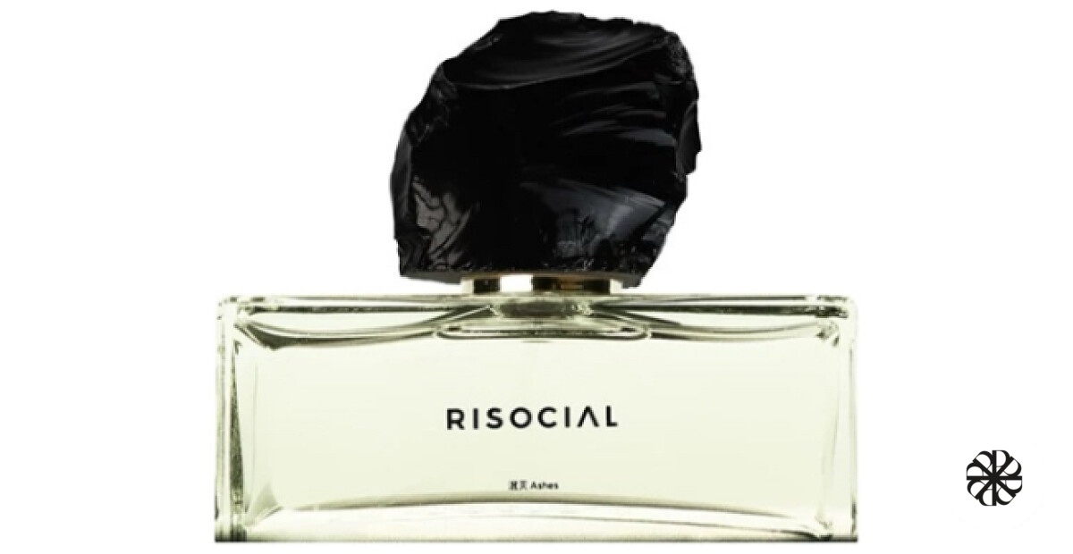 Ashes 泯灭 Risocial 在野南杂