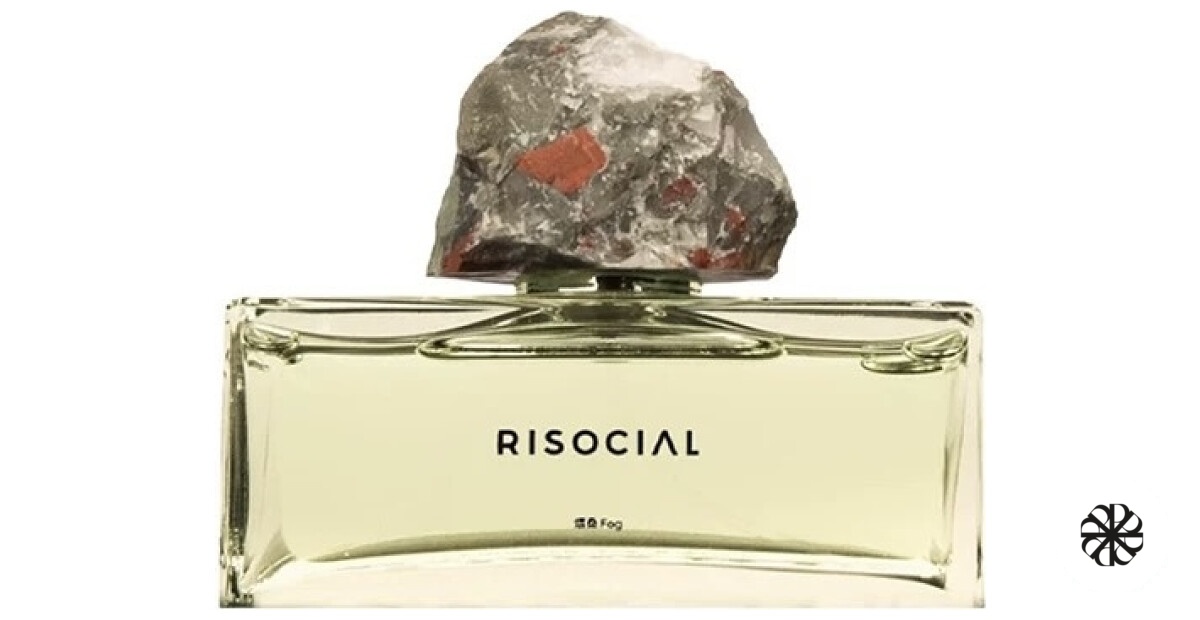 Fog 炜桑 Risocial 在野南杂