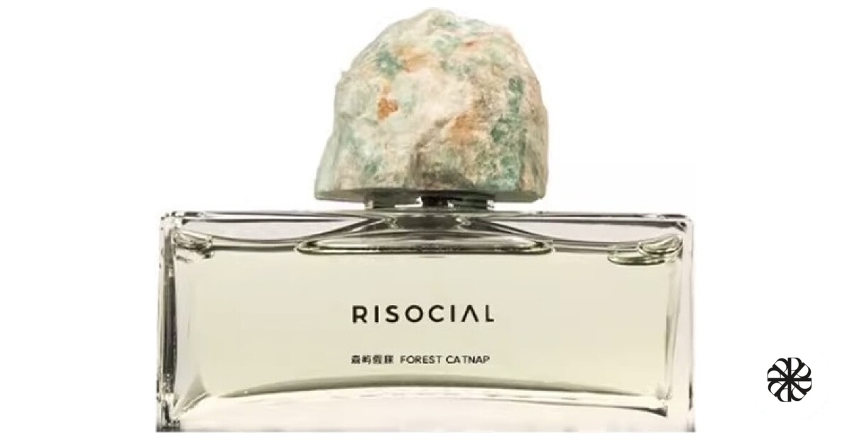 Forest Catnap 森屿假寐 Risocial 在野南杂