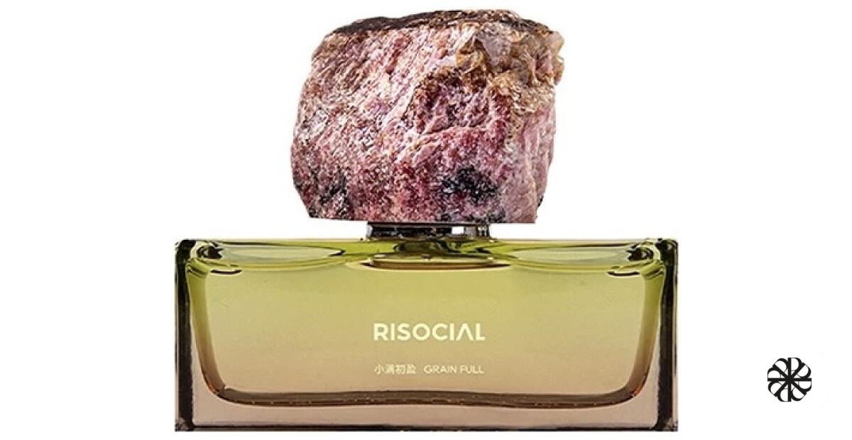 Grain Full 小满初盈 Risocial 在野南杂