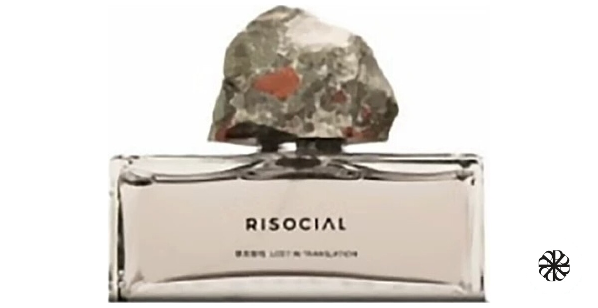 Lost In Translation 禁忌游戏 Risocial 在野南杂