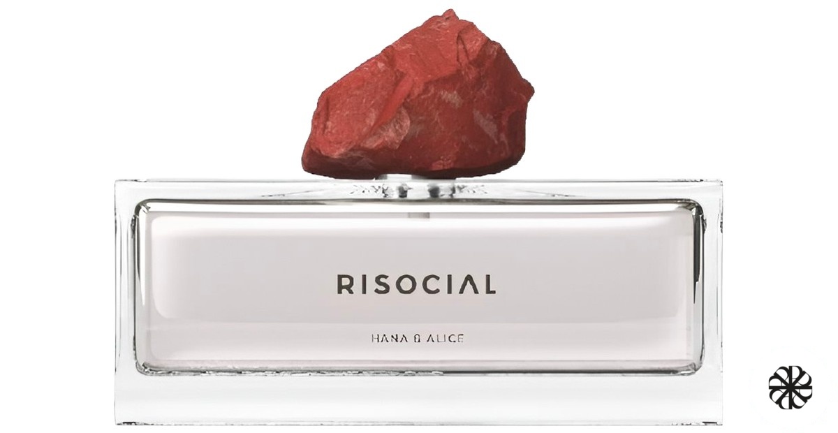 Hana & Alice 雪域牡丹 Risocial 在野南杂