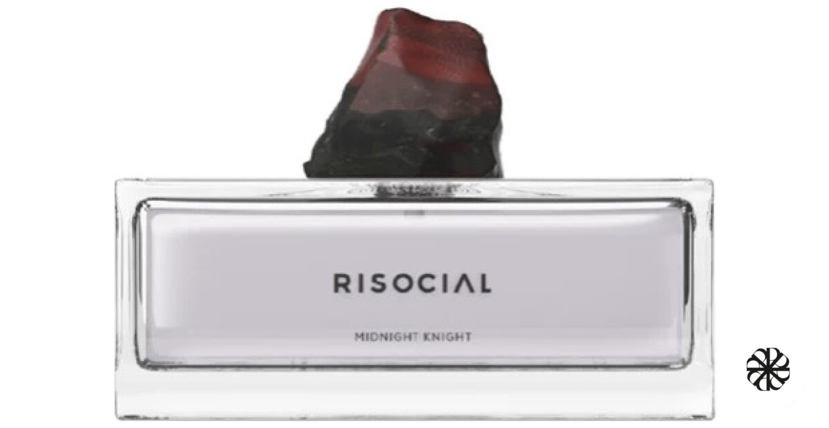 Midnight Knight 午夜骑士 Risocial 在野南杂