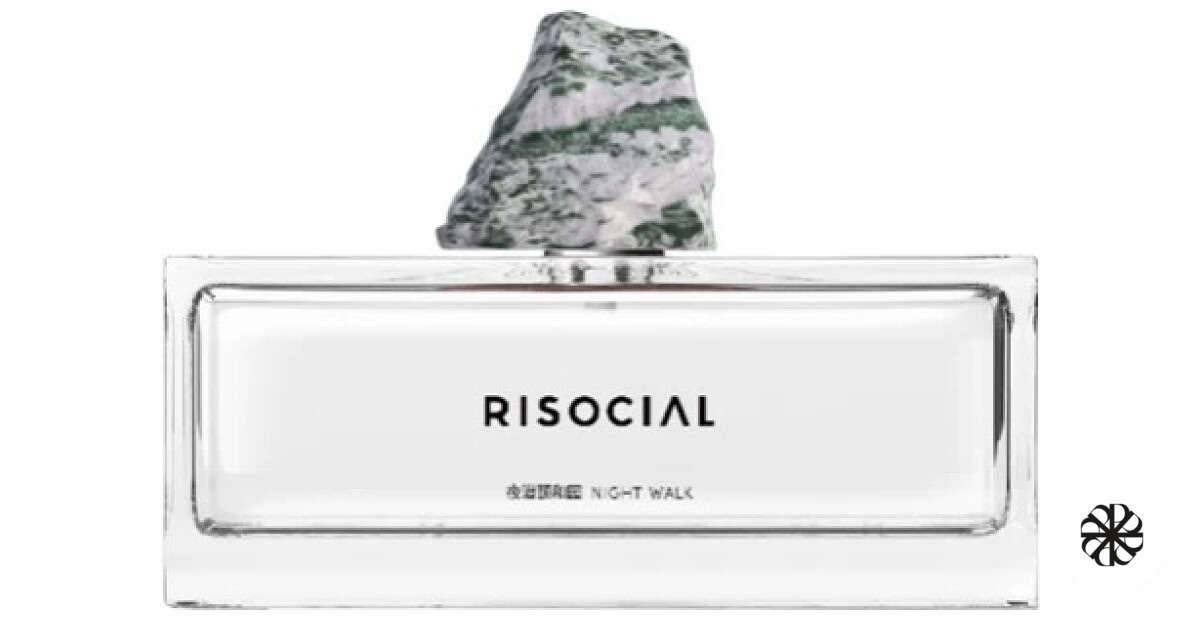 Night Walk 夜潜颐和园 Risocial 在野南杂