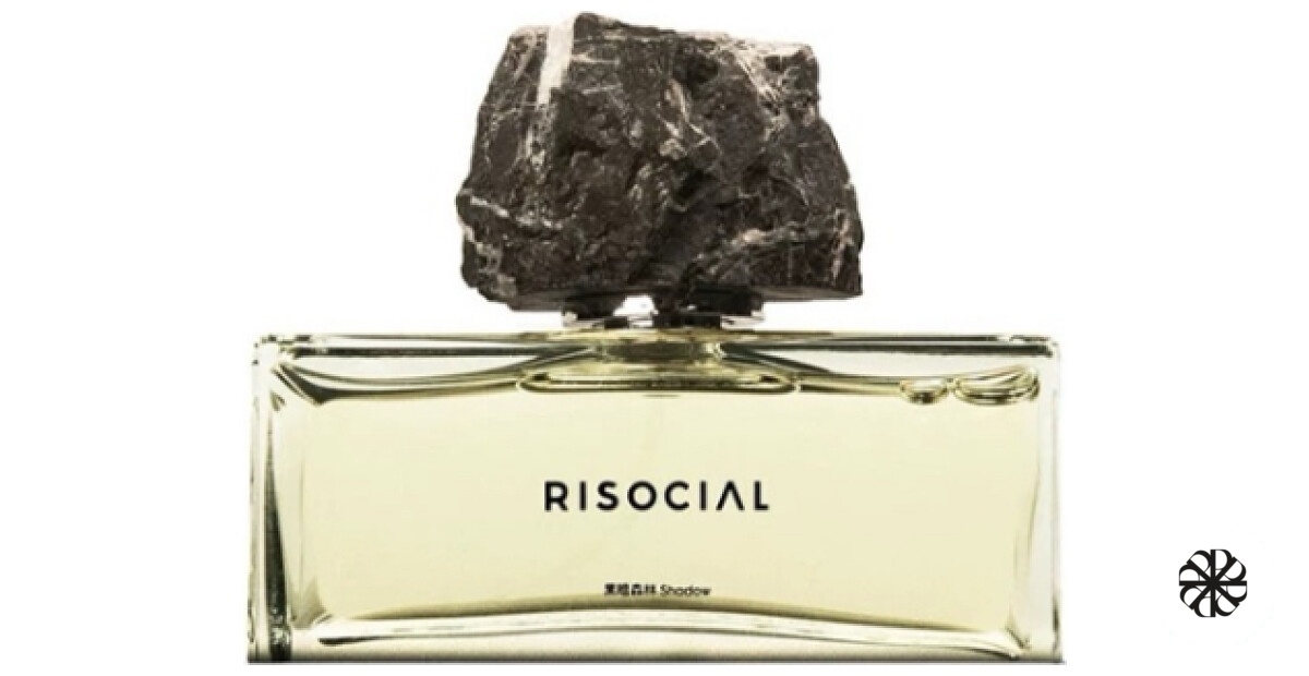 Shadow 黑暗森林 Risocial 在野南杂