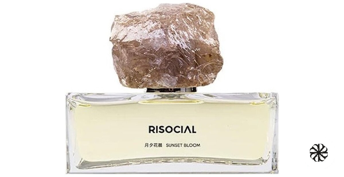 Sunset Bloom 月夕花晨 Risocial 在野南杂
