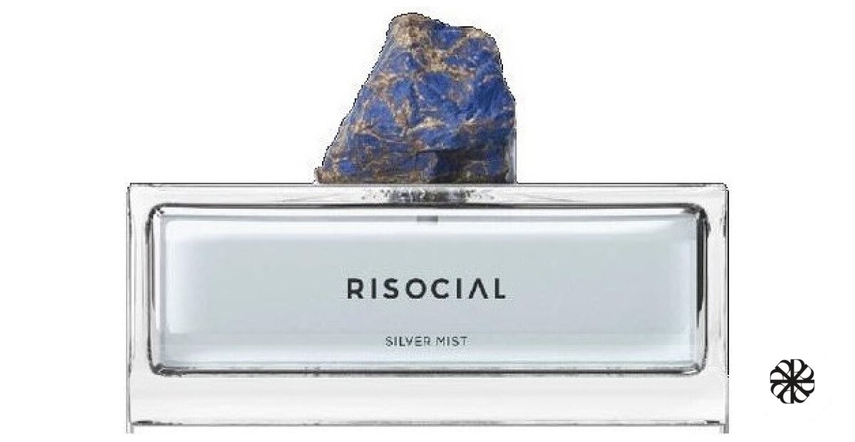 Silver Mist 银雾弧光 Risocial 在野南杂