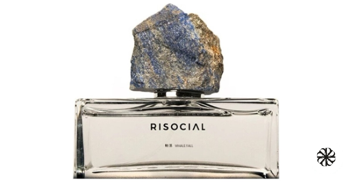 Whale Fall 鲸落 Risocial 在野南杂