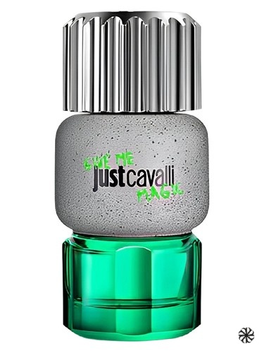 Just Cavalli Give Me Magic for Him Roberto Cavalli