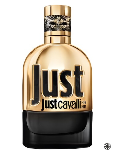 Just Cavalli Gold for Him Roberto Cavalli