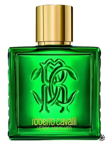Roberto Cavalli Uomo Verde Assoluto Roberto Cavalli