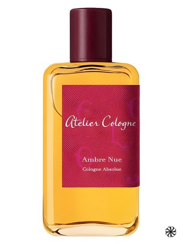Ambre Nue Atelier Cologne