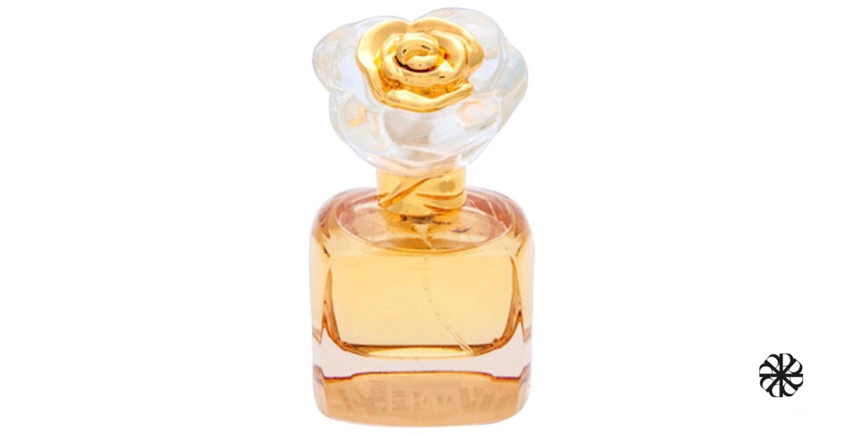 Spontaneous Confidence Rose Rossa