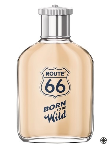 Born To Be Wild Route 66