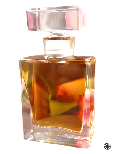 Rosa Roxana Illuminated Perfume