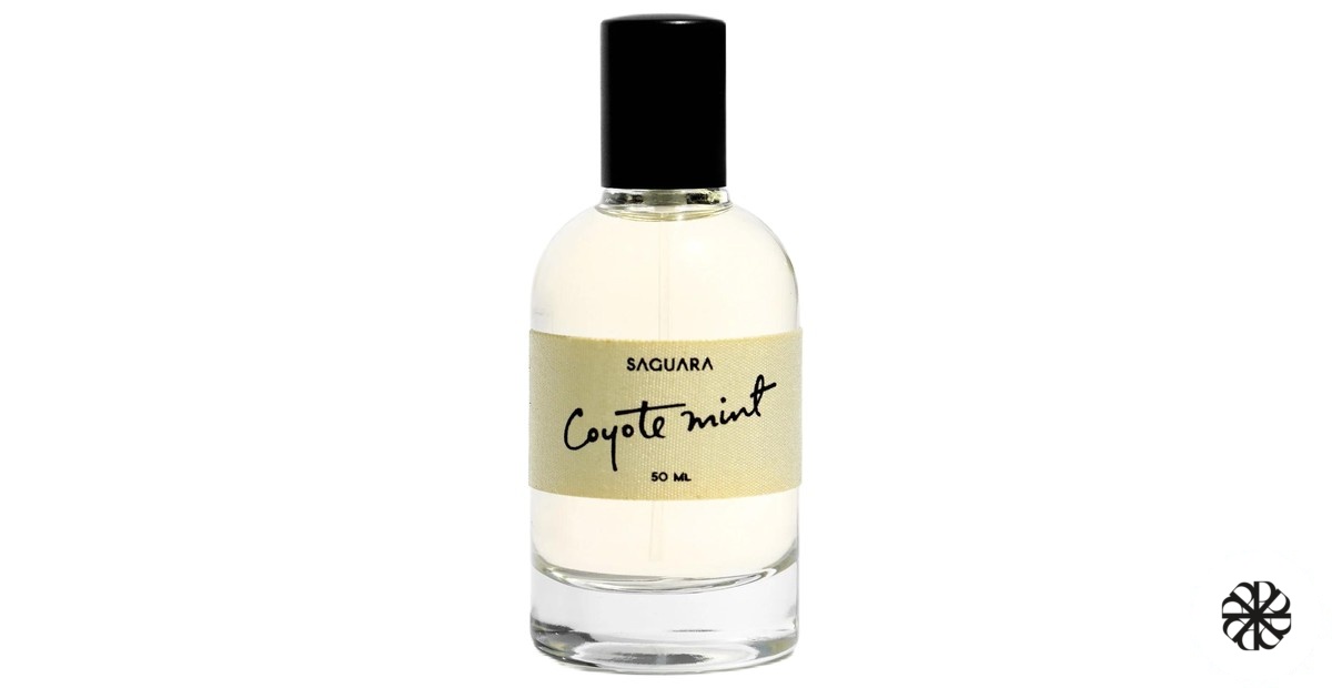 Coyote Mint Saguara