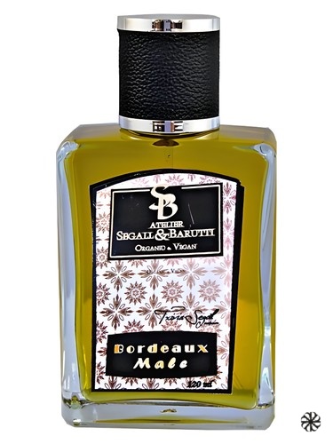 Bordeaux Male Atelier Segall & Barutti
