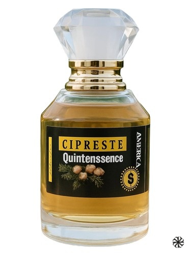 Cipreste Quintessence Atelier Segall & Barutti