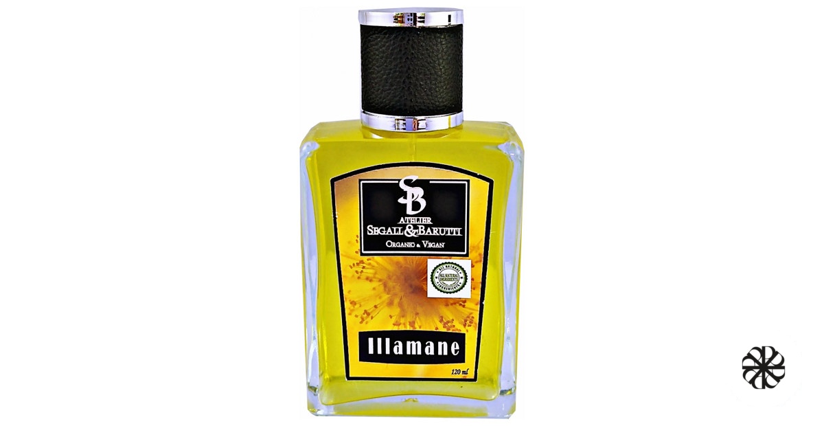 Illamane Atelier Segall & Barutti