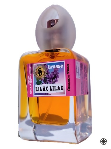 Lilac Lilac Atelier Segall & Barutti