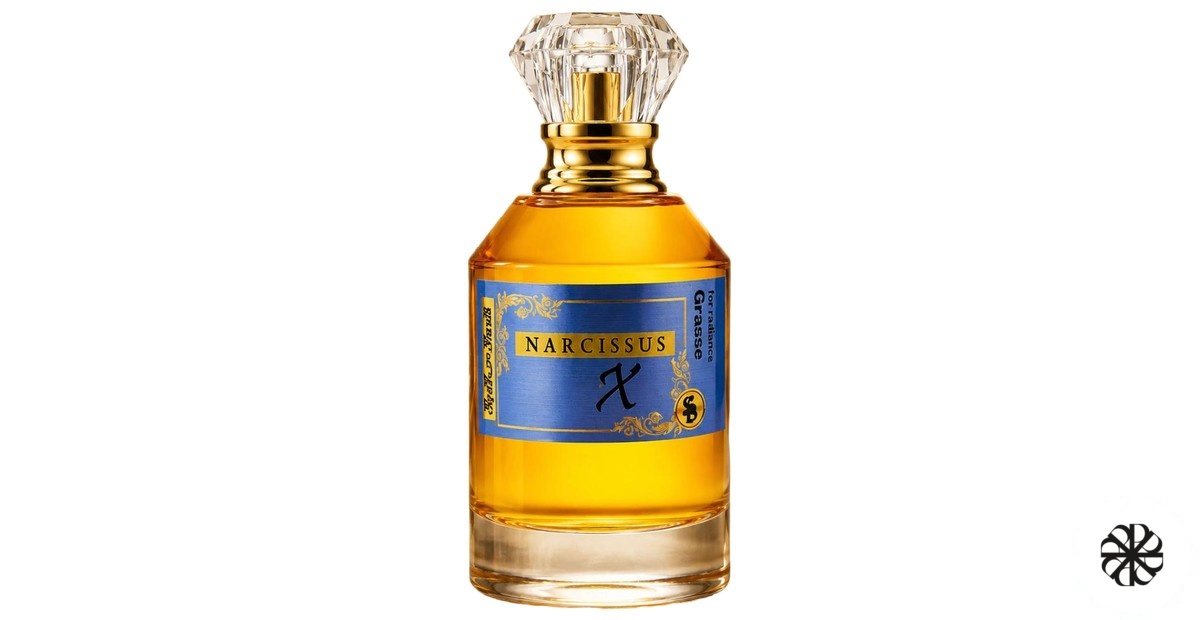Narcissus X Extreme Atelier Segall & Barutti