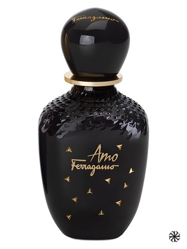 Amo Ferragamo Limited Edition Salvatore Ferragamo