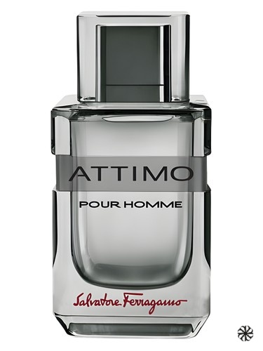Attimo Pour Homme Salvatore Ferragamo